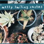 Messy Smiling Cactus Font Poster 1