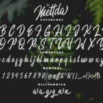 Mettda Scipt Font Poster 10