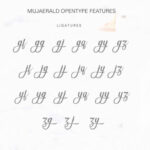 Mujaerald Font Poster 7