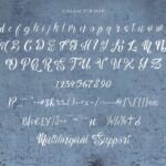 Nalicha Script Font Poster 2