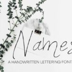 Names Font Poster 1