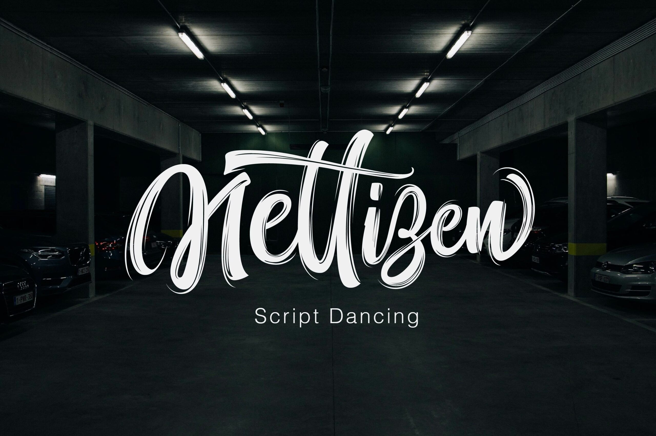 Nettizen Font Poster 1