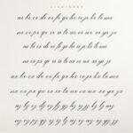 Night Weight Script Font Poster 8