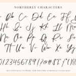 Northerly Font Poster 3