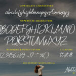 Nottingham Script Font Poster 6