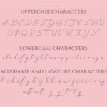 Onette Font Poster 10