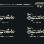 Orchestra Script Font Poster 9