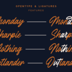 Outlander Brush Script Font Poster 2