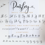 Paisley Script Font Poster 11