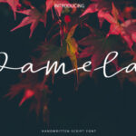 Pamela Script Font Poster 1