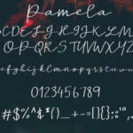 Pamela Script Font Poster 7