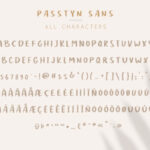 Passtyn Duo Font Poster 2