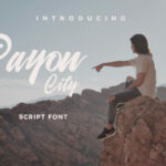 Payon City Font Poster 1