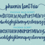 Phoenix Script Trio Font Poster 3