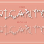 Picanto Font Poster 3