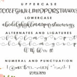 Pichellya Script Font Poster 7