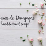 PN Époisses De Bourgogne Font Poster 1