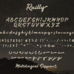 Railly Font Poster 3