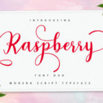 Raspberry Duo Font Poster 1