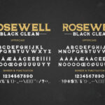 Rosewell Family Font Poster 8