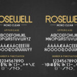 Rosewell Family Font Poster 10