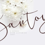 Santoy Font Poster 1