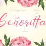 Senoritta Font Poster 2