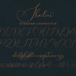Shailene Script Font Poster 6