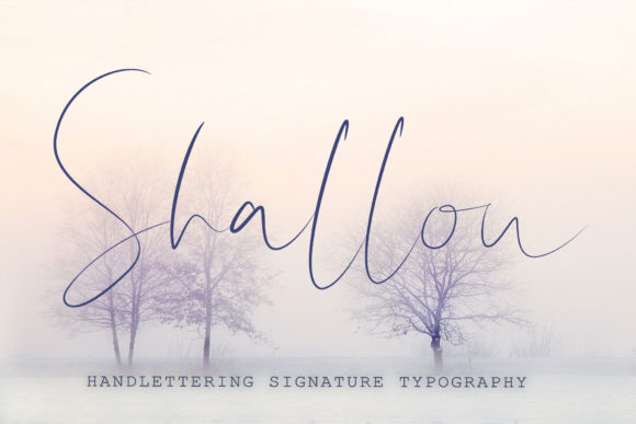 Shallou Script Font Poster 1