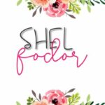 Shel Fodor Script Font Poster 1