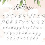 Shelline Font Poster 6