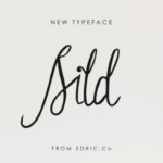 Sild Font Poster 1