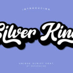 Silver King Font Poster 8