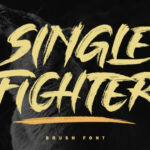 Single Fighter Font Poster 1