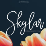 Skylar Font Poster 1