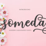 Someday Script Font Poster 1