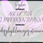 Sophie Font Poster 6