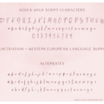 Souls Wyld Font Trio Font Poster 12