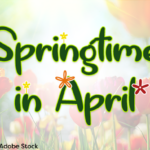 Springtime in April Font Poster 1