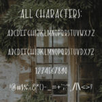 The Secret Door Font Poster 4