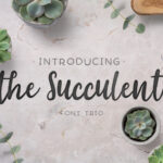 The Succulent Trio Font Poster 1