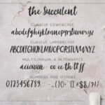 The Succulent Trio Font Poster 2