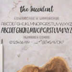 The Succulent Trio Font Poster 3