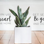 The Succulent Trio Font Poster 6