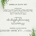 Vanella Font Poster 15