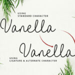 Vanella Font Poster 19