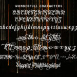 Wonderfull Font Poster 3