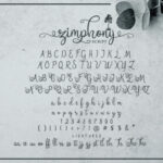 Zimphony Duo Font Poster 3