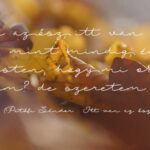 Autumn Chant Font Poster 3