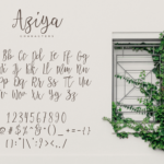 Aziya Font Poster 5